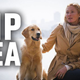 Illustration for article titled How United Airlines Killed A Supermodels Dog